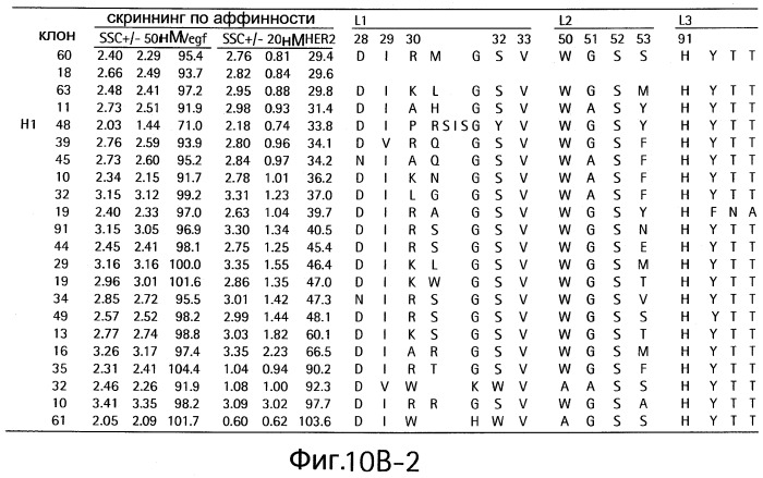 Полиспецифические антитела (патент 2547596)