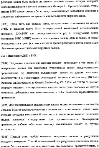 Иммуногенная композиция и способ разработки вакцины, основанной на участках связывания фактора н (патент 2364413)