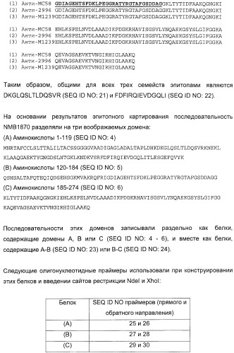 Домены и эпитопы менингококкового белка nmb1870 (патент 2375374)