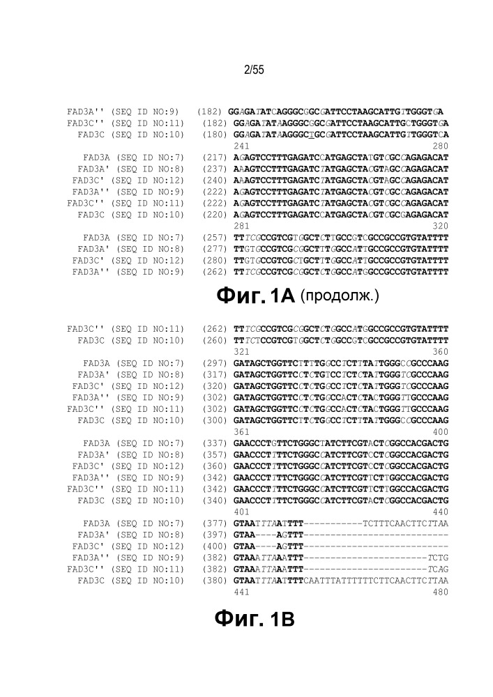 Локусы fad3 для выполнения операций и соответствующие связывающиеся со специфическими сайтами-мишенями белки, способные к вызову направленных разрывов (патент 2665811)