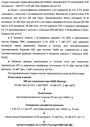 Вакцина для предупреждения и лечения вич-инфекции (патент 2441878)