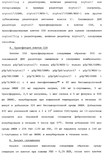 Новый лиганд рецептора цитокина zcytor17 (патент 2360923)