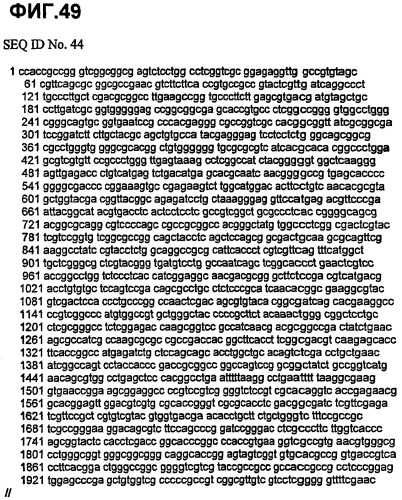 Варианты гликолипидацилтрансферазы, способ их получения и применение (патент 2377300)