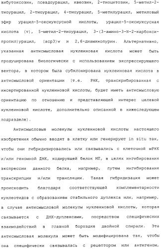 Гены corynebacterium glutamicum, кодирующие белки метаболических путей (патент 2306339)