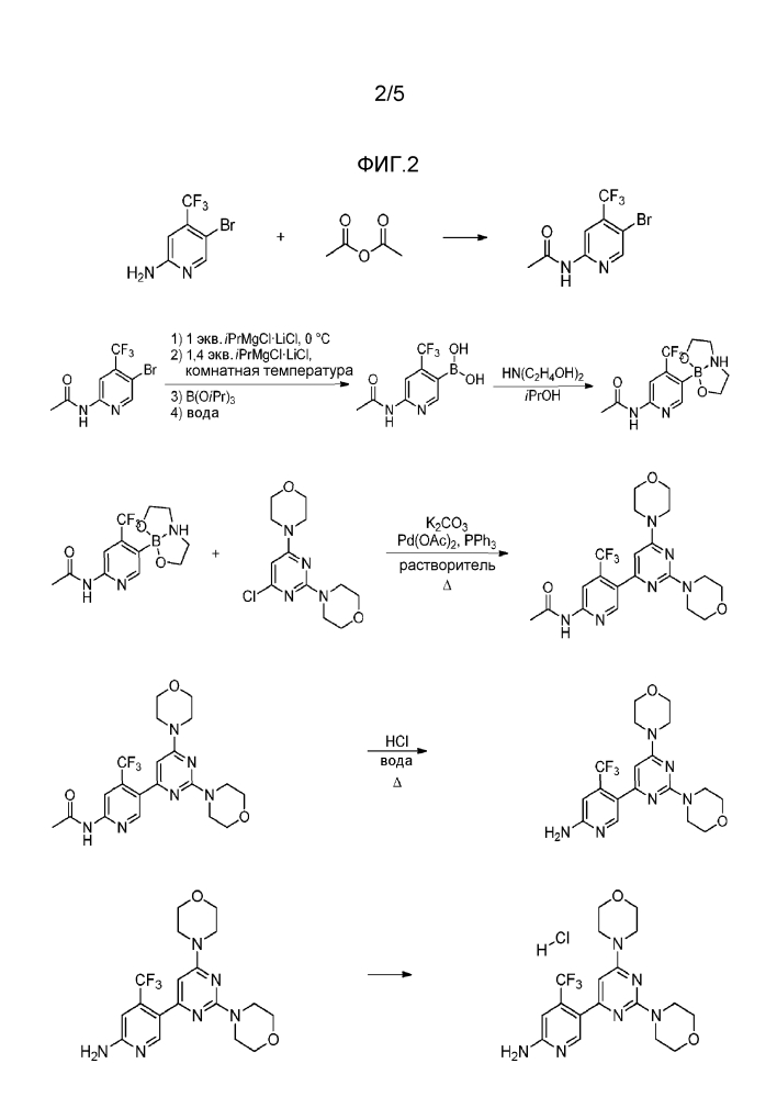 Усовершенствованный способ получения 5-(2,6-ди-4-морфолинил-4-пиримидинил)-4-трифторметилпиридин-2-амина (патент 2646760)