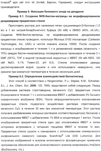 Макромолекула регулируемого размера (патент 2326172)