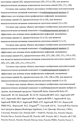 Поливалентные иммуногенные композиции pcv2 и способы получения таких композиций (патент 2488407)