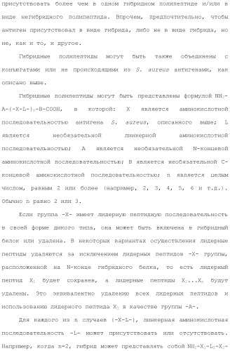 Композиции для иммунизации против staphylococcus aureus (патент 2508126)