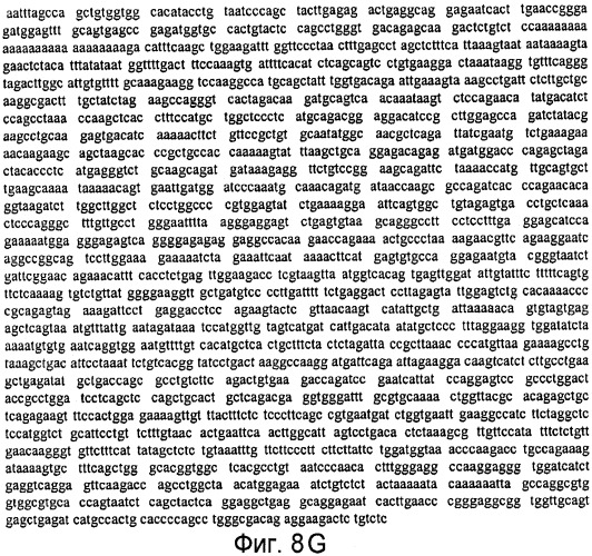 Способы выявления воспалительного заболевания кишечника (патент 2502806)