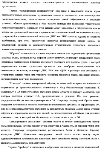 Гены, связанные с остеоартритом собак, и относящиеся к этому способы и композиции (патент 2341795)