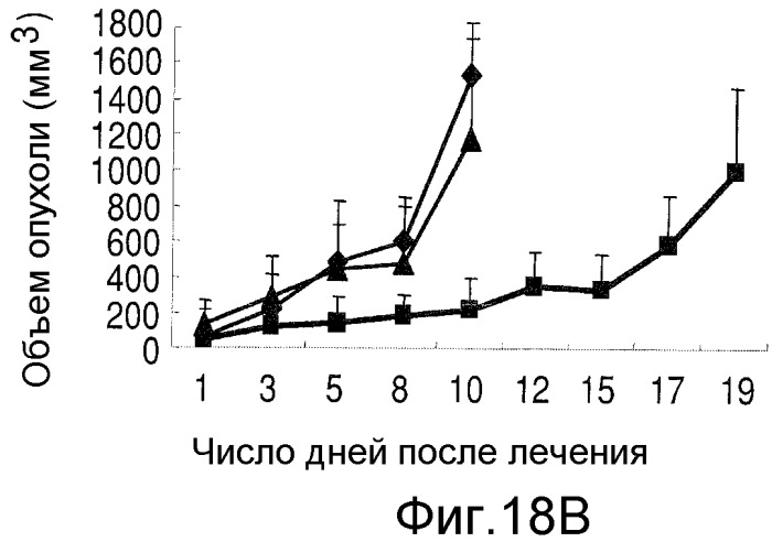 Способы улучшения направленного воздействия на cd138-экспрессирующие опухолевые клетки и агенты для их осуществления (патент 2486203)