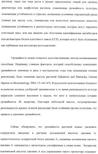 Растения с повышенной урожайностью и способ их получения (патент 2377306)