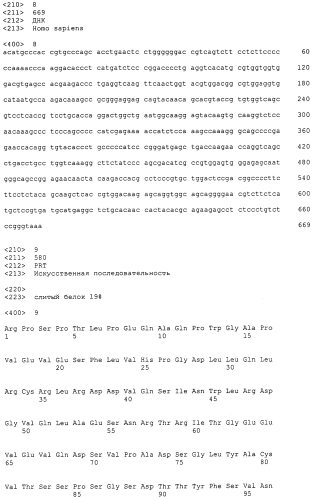 Fgf-r-fc слитый белок и его использование (патент 2560573)