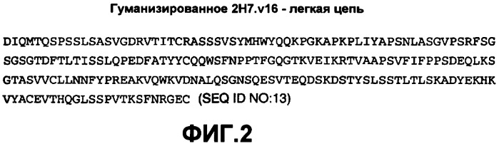 Способ лечения рассеянного склероза (патент 2384345)