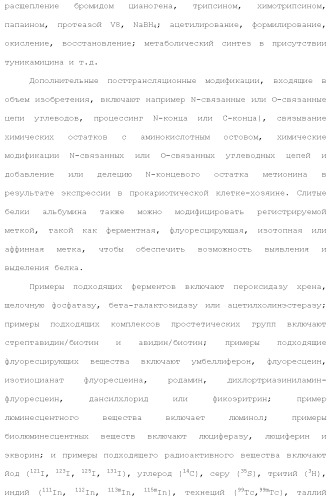 Слитые белки альбумина (патент 2369404)