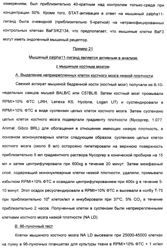 Выделенный полипептид, связывающий рецептор zalpha11-лиганда (варианты), кодирующий его полинуклеотид (варианты), вектор экспрессии (варианты) и клетка-хозяин (варианты) (патент 2346951)