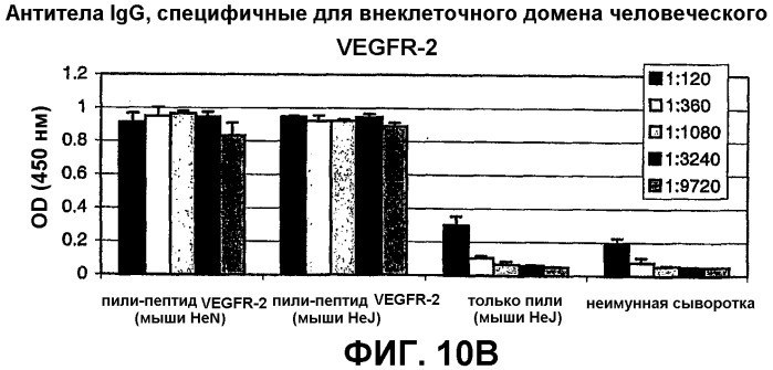 Композиция и способ для иммунизации, способ продуцирования неприродного упорядоченного и повторяющегося массива антигенов (патент 2438701)