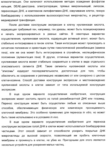 Использование уреазы для ингибирования роста раковых клеток (патент 2326691)