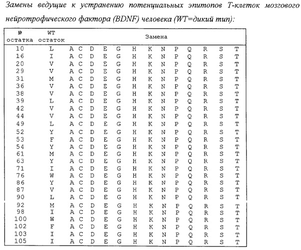 Способ идентификации эпитопов т-клеток и его применение для получения молекул со сниженной иммуногенностью (патент 2303264)