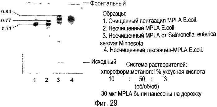 Композиции, содержащие фетальный гемоглобин и бактериальный эндотоксин и, необязательно, дополнительные компоненты печени плода (патент 2366449)