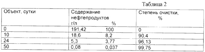 Штамм rhodococcus globerulus для разложения нефти и нефтепродуктов (патент 2299239)