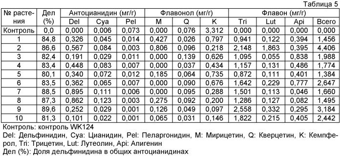 Роза, содержащая флавон и мальдивин, и способ ее получения (патент 2463348)