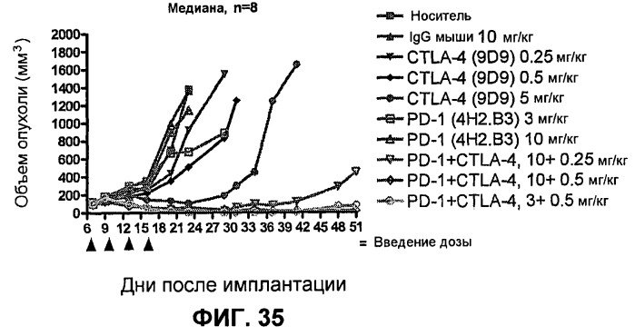 Моноклональные антитела человека к белку программируемой смерти 1 (pd-1) и способы лечения рака с использованием анти-pd-1-антител самостоятельно или в комбинации с другими иммунотерапевтическими средствами (патент 2494107)