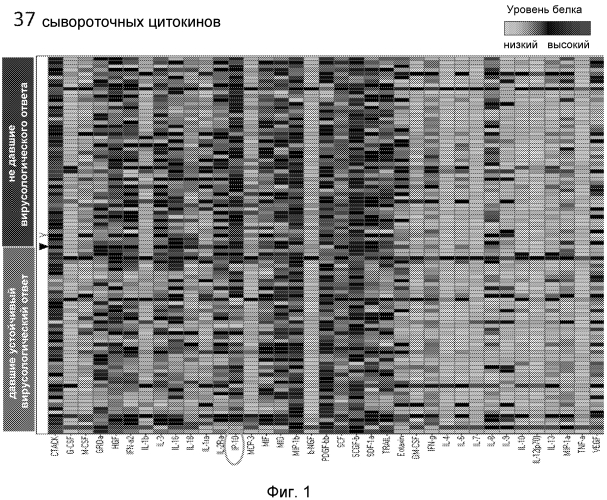 Усиление прогностической ценности полиморфизма гена il28b в комбинации с количественной оценкой ip-10 в сыворотке при ответе на пегинторферон и рибавирин по сравнению с каждым из этих биомаркеров в отдельности (патент 2567806)