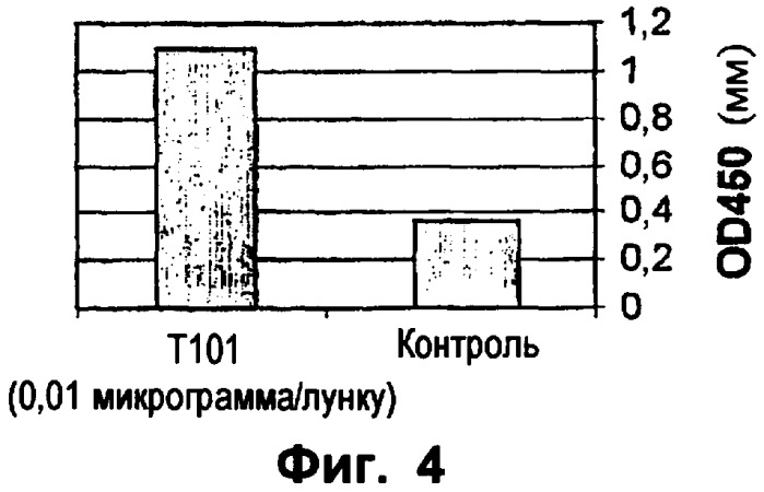 Тимус-специфический белок (патент 2398776)