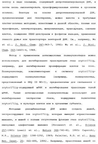 Новый лиганд рецептора цитокина zcytor17 (патент 2360923)