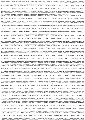 Применение s1p (патент 2362565)