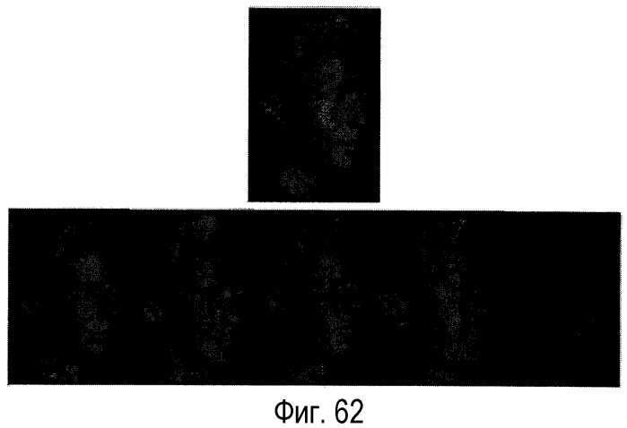 Способ и устройство для фотореалистического трехмерного моделирования лица на основе изображения (патент 2358319)