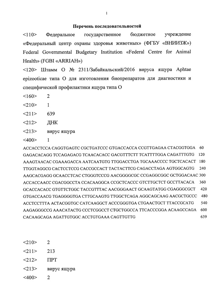 Штамм о n 2311/забайкальский/2016 вируса ящура aphtae epizooticae типа о для изготовления биопрепаратов для диагностики и специфической профилактики ящура типа о (патент 2658608)