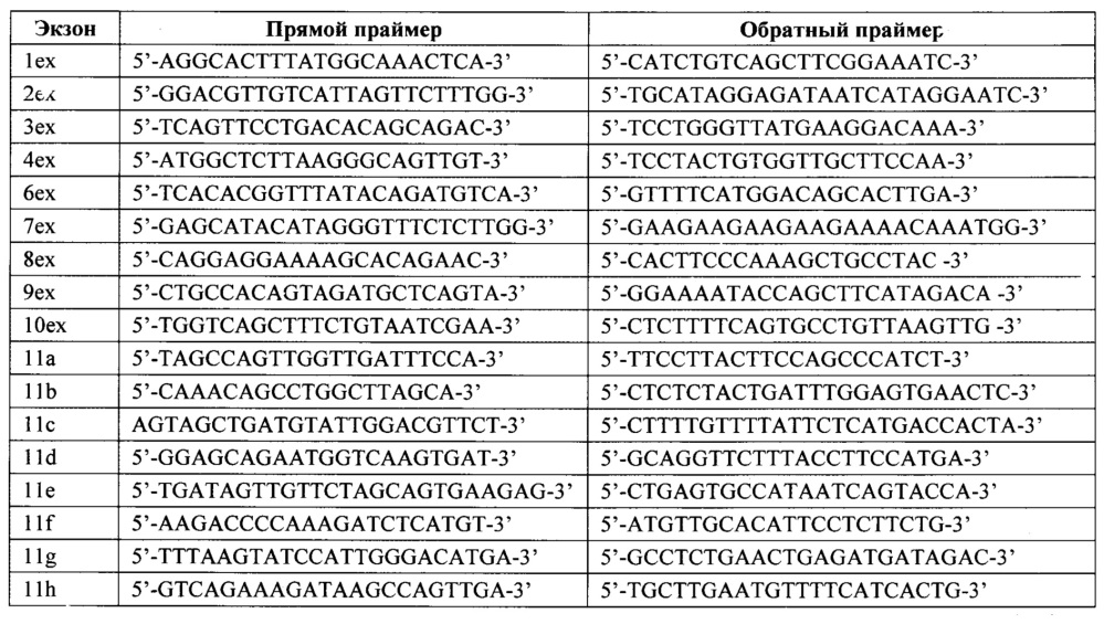 Способ определения нуклеотидных последовательностей экзонов генов brca1 и brca2 (патент 2612894)