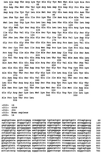 Ген новой сериновой протеазы, родственной dppiv (патент 2305133)