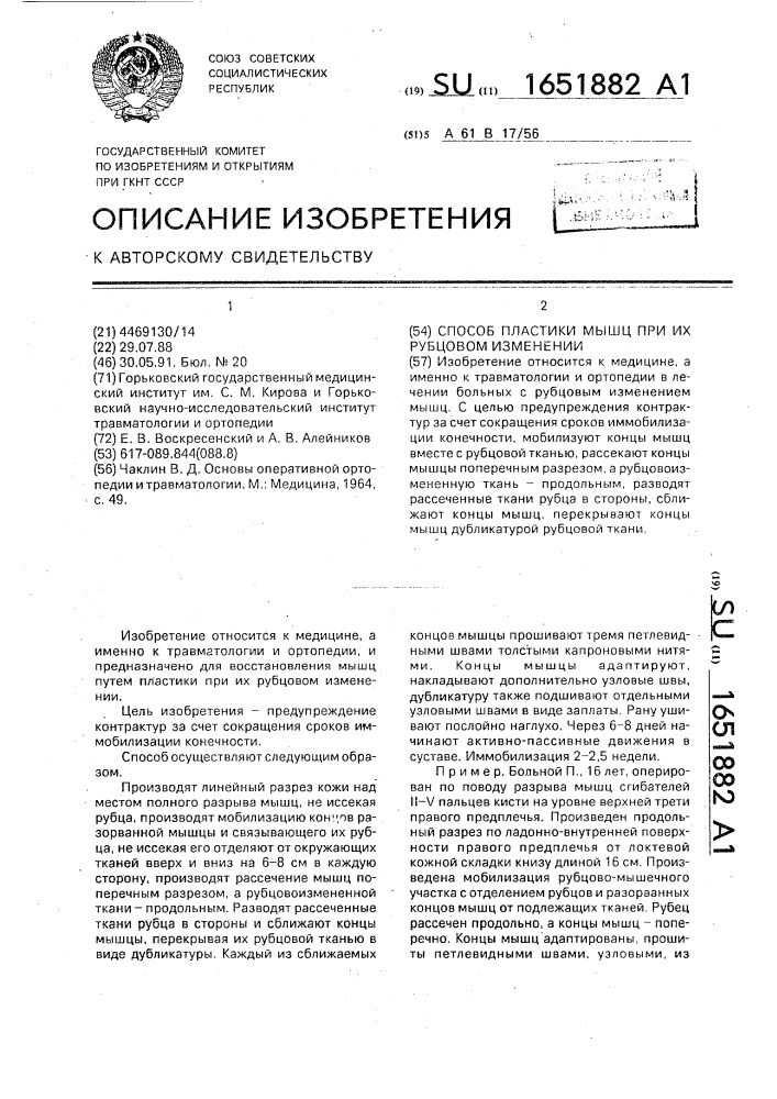 Способ пластики мышц при их рубцовом изменении (патент 1651882)