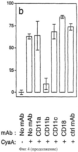Векторы для доставки молекул к экспрессирующим cd11b клеткам (патент 2312143)