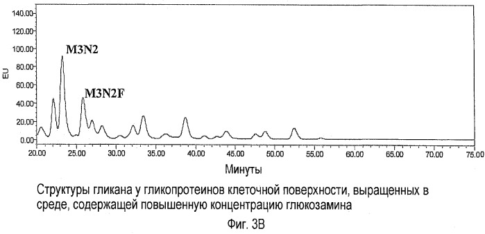 Способы, связанные с гликозилированием клеточной поверхности (патент 2475751)