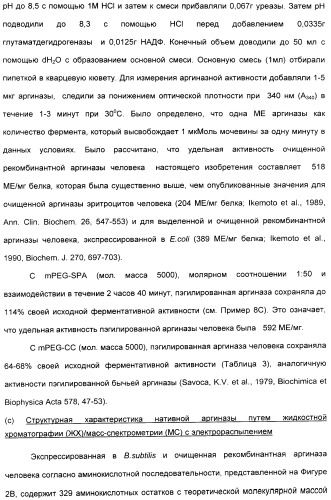 Фармацевтический препарат и способ лечения злокачественных опухолей у человека с помощью аргининовой депривации (патент 2335539)