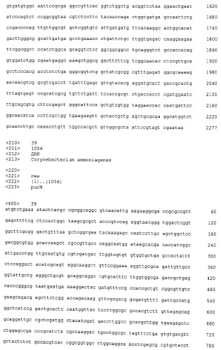 Микроорганизмы corynebacterium с повышенной продукцией 5&#39;- инозиновой кислоты и способ получения нуклеиновых кислот с их использованием (патент 2482178)