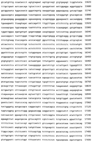 Применение s1p (патент 2362565)