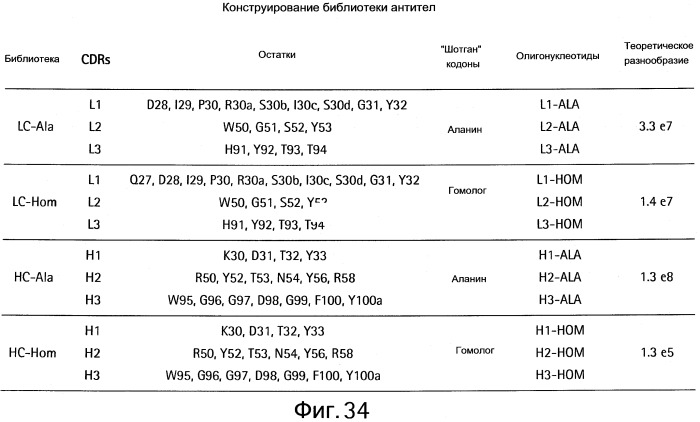 Полиспецифические антитела (патент 2547596)
