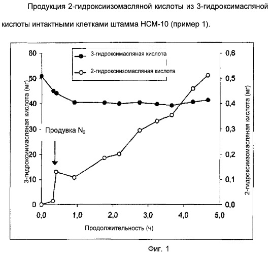 Способ ферментативного получения 2-гидрокси-2-метилкарбоновых кислот (патент 2459871)
