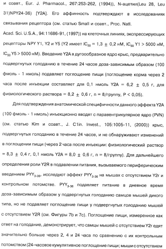 Способ модификации пищевого поведения и применение pyy или его агониста в качестве средства для модификации пищевого поведения (патент 2317104)