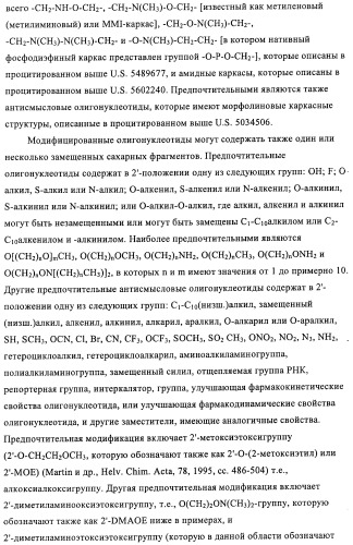 Композиции и способы диагностики и лечения опухоли (патент 2430112)