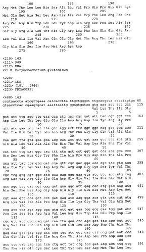 Гены corynebacterium glutamicum, кодирующие белки, участвующие в синтезе мембран и мембранном транспорте (патент 2312145)