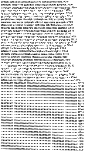 Модуляция экспрессии гентингтина (патент 2562861)