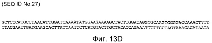 Применение рам (патент 2345785)
