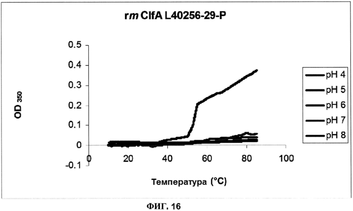 Стабильные иммуногенные композиции антигенов staphylococcus aureus (патент 2570730)