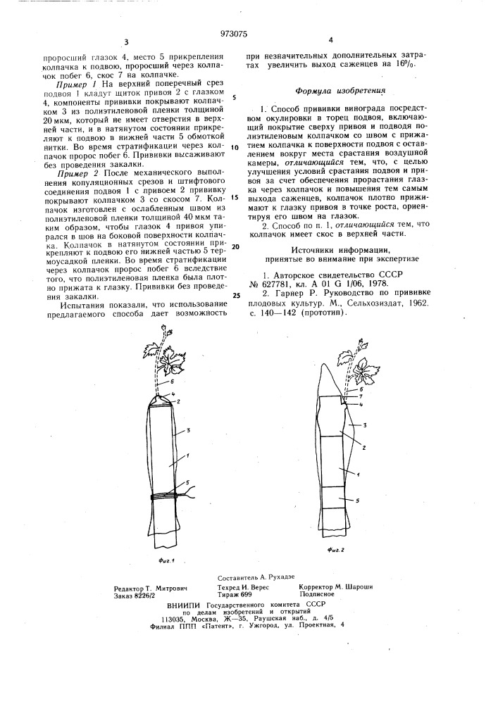 Способ прививки винограда (патент 973075)